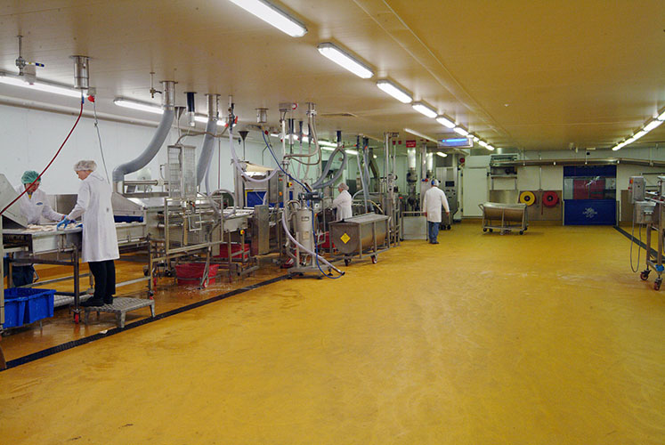 Food Processing NCC